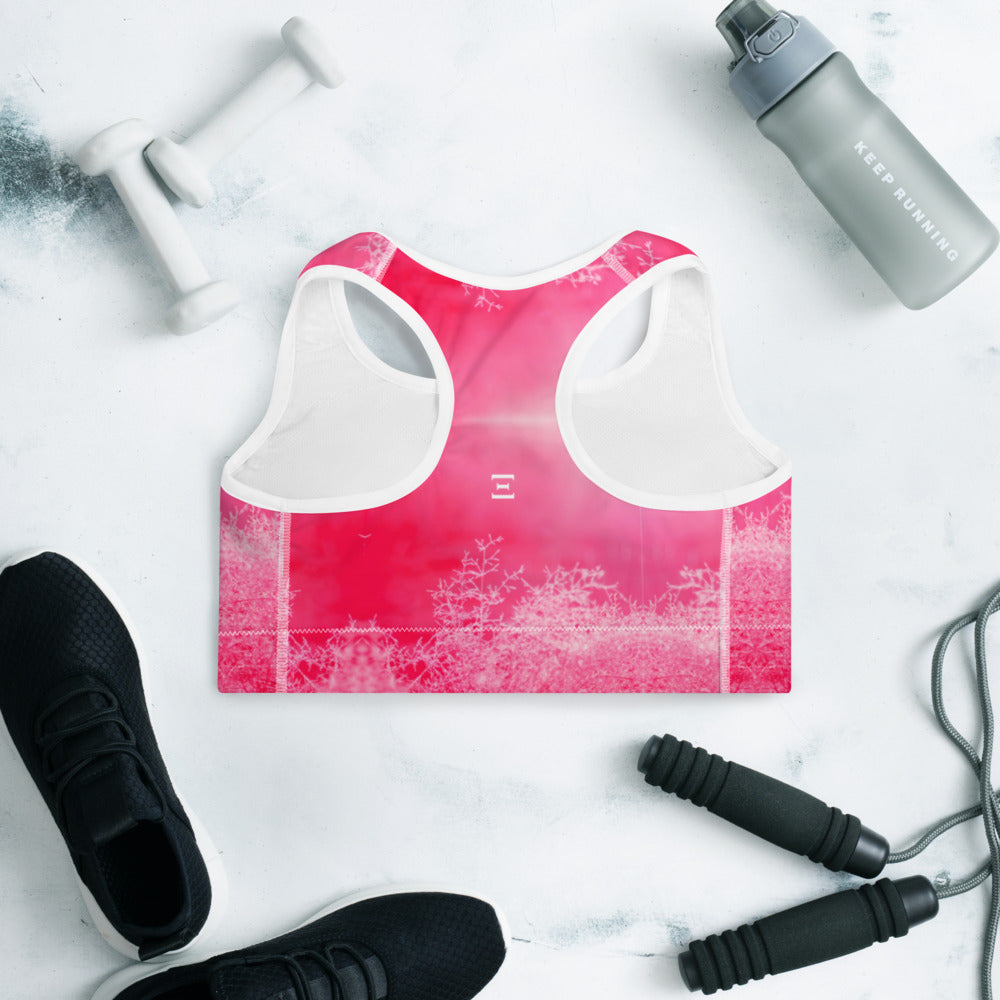 Blushful Sports Bra