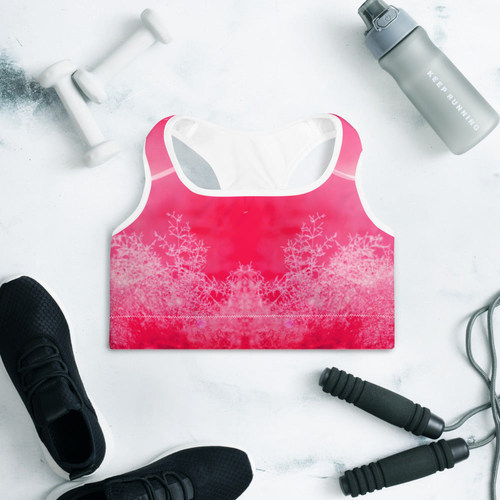Blushful Sports Bra
