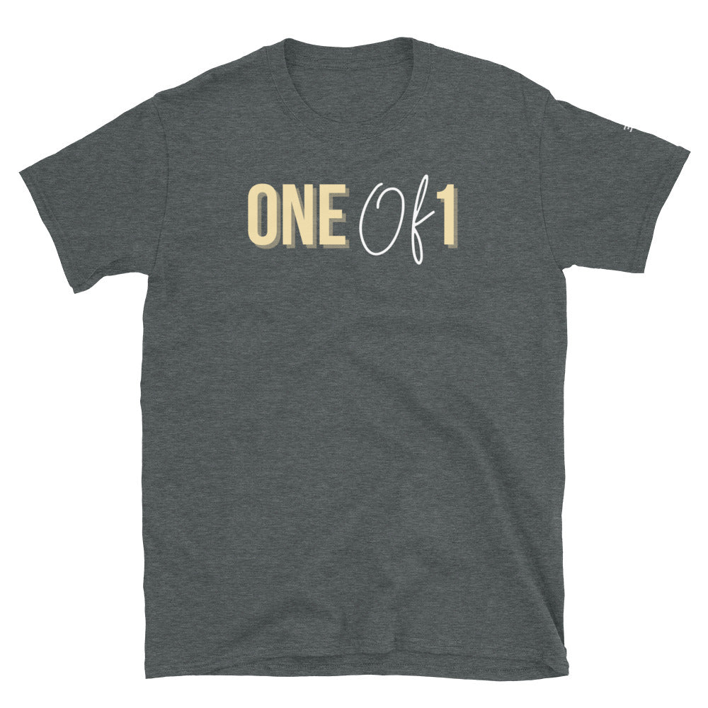One of 1 Tee-MEECHI